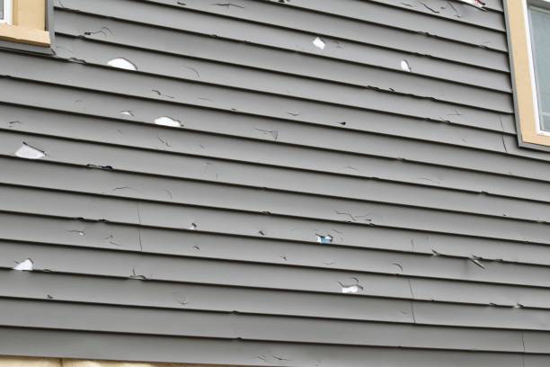 Best Siding Painting and Refinishing  in Millville, UT