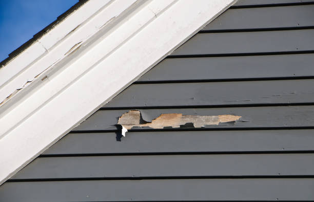 Best Brick Veneer Siding  in Millville, UT
