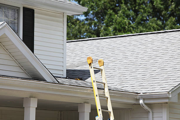 Best Storm Damage Siding Repair  in Millville, UT
