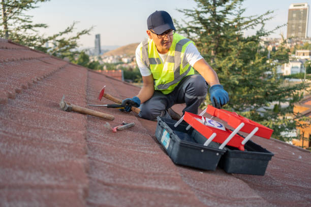 Best Siding Maintenance  in Millville, UT